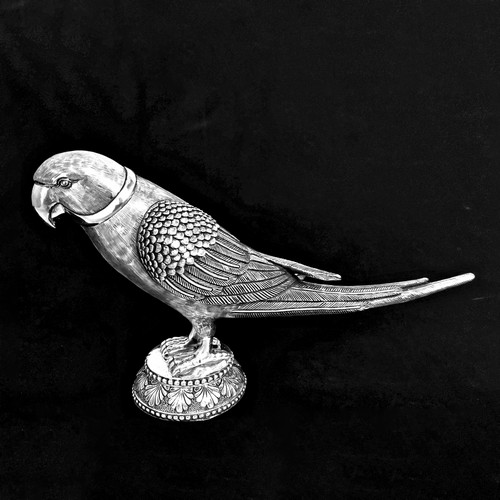 Silver Parrot