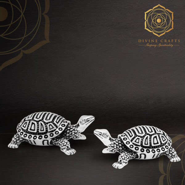 Tortoise Dule