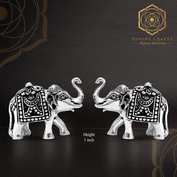 Elephant Uptrunk