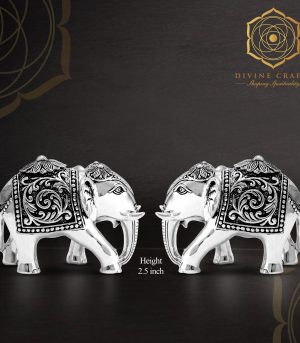Elephant Downtrunk